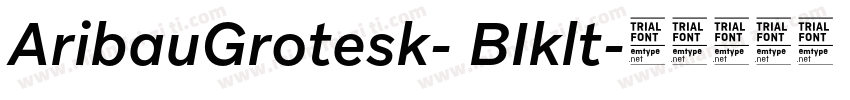 AribauGrotesk- BIklt字体转换